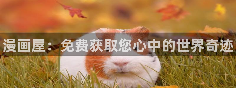 漫漫漫画完结漫画大全